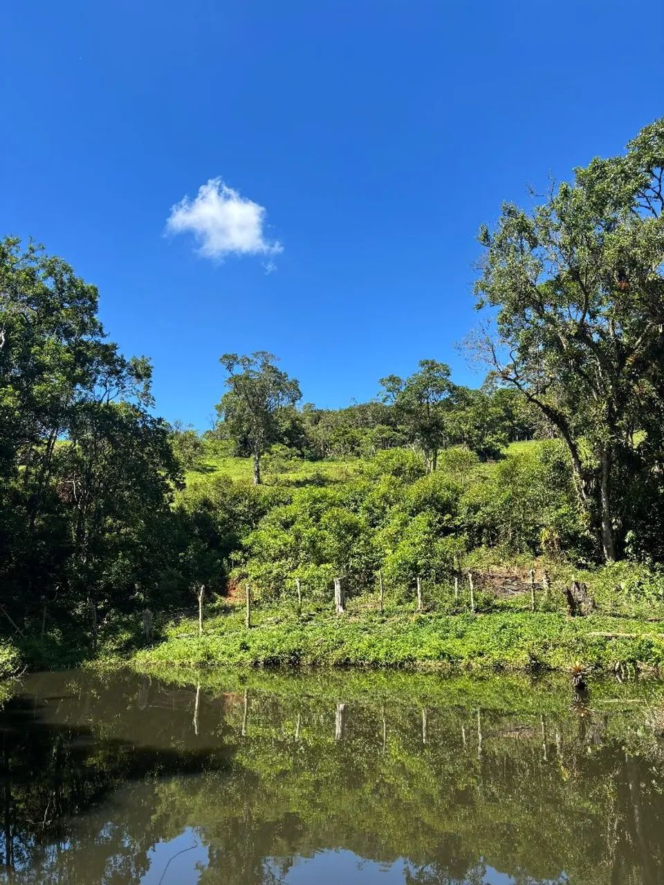 Sitio dos Sonhos - Ibiuna  - Foto 4