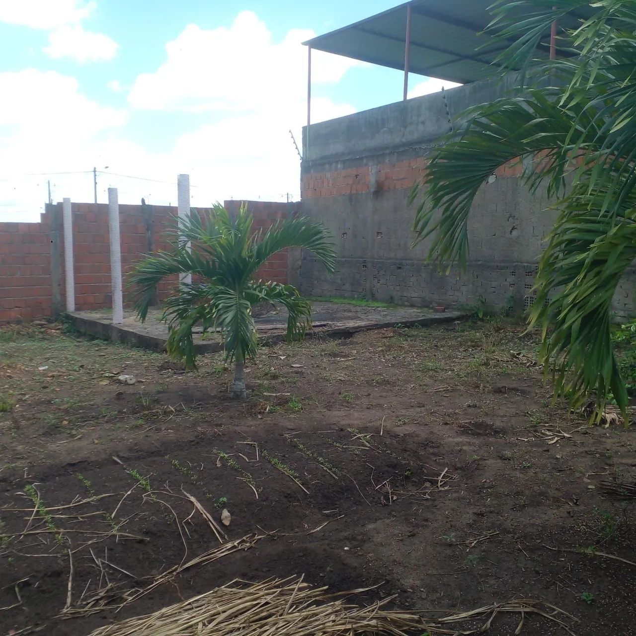 Terreno na nova Paudalho 