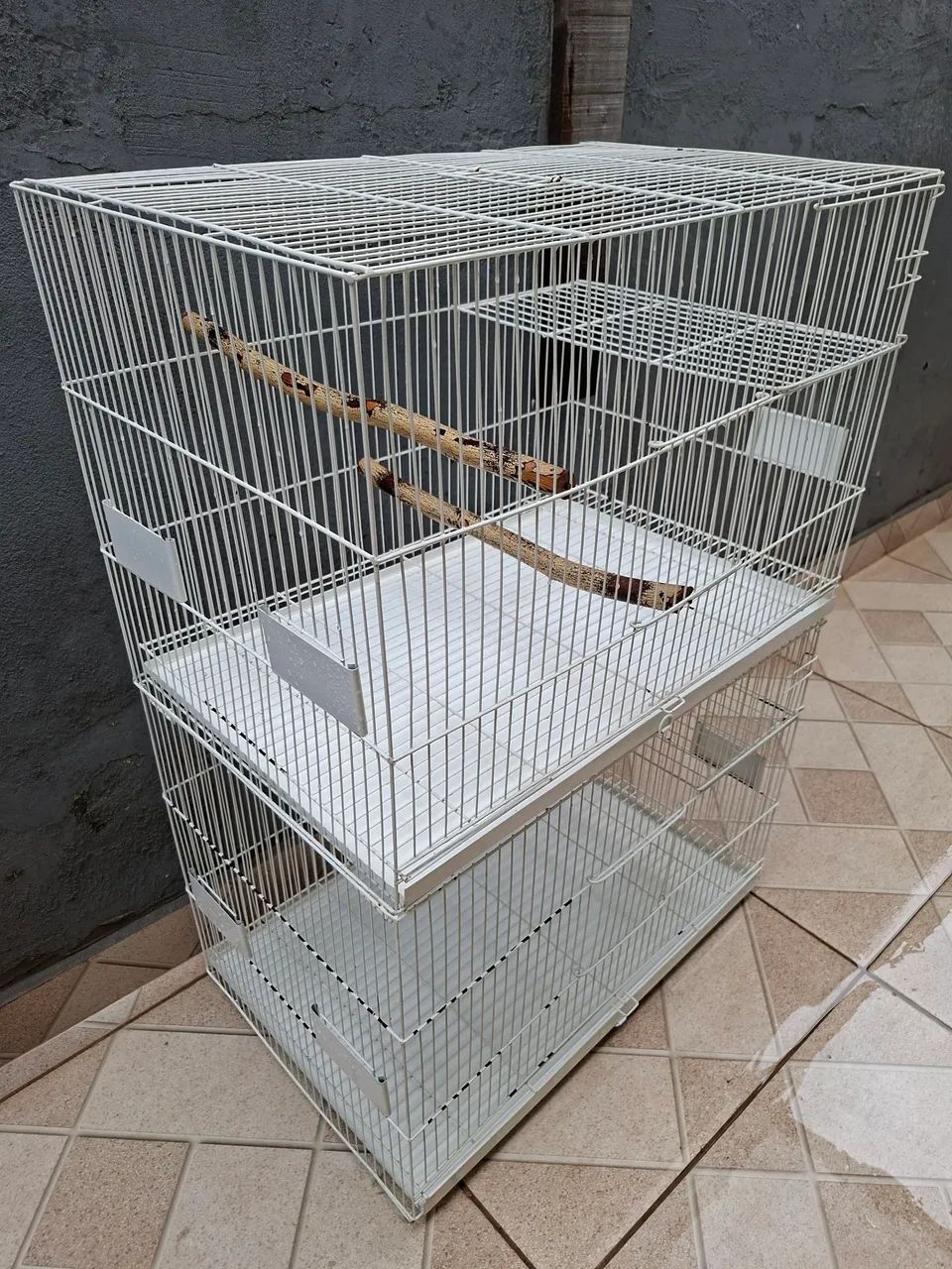 Criadeira Mônaco calopsita - Foto 3