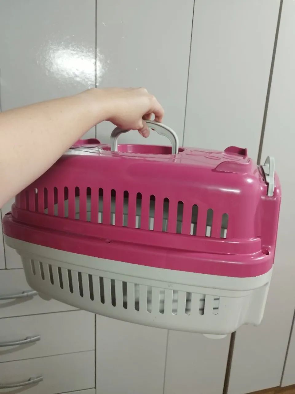 Caixa de transporte pet 