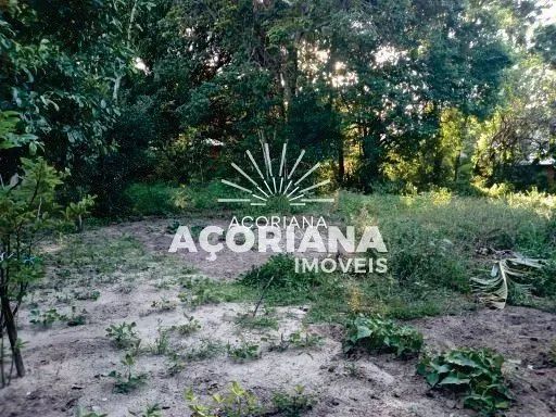 Oportunidade no Rio Tavares - Terreno a Venda - Foto 2