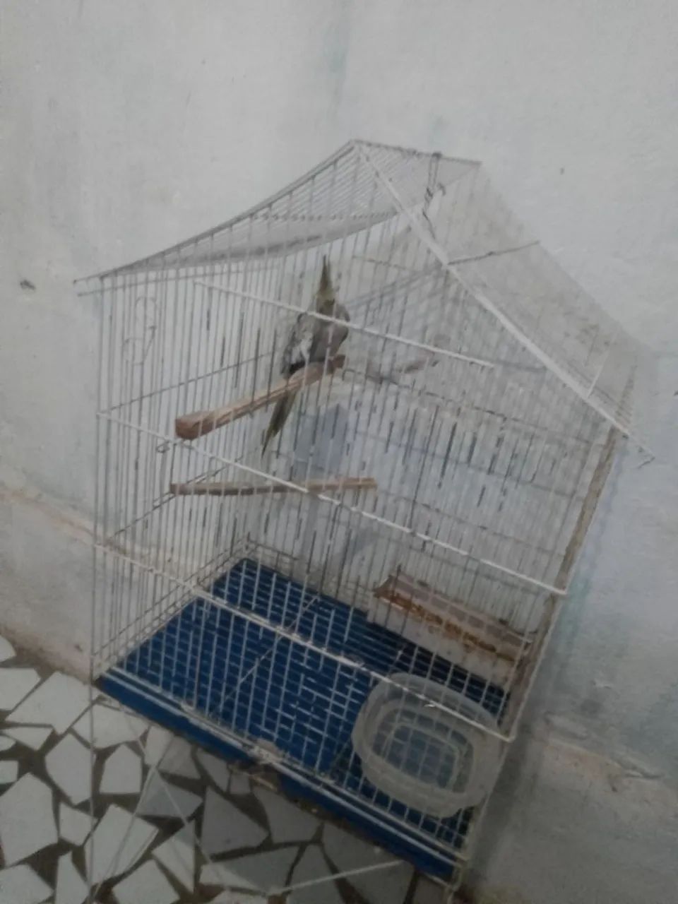 Vevivero completo 
