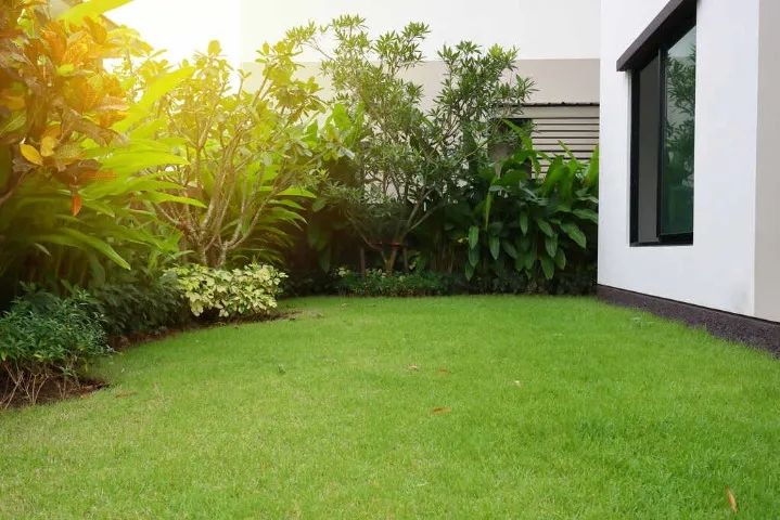 Jardinagem 