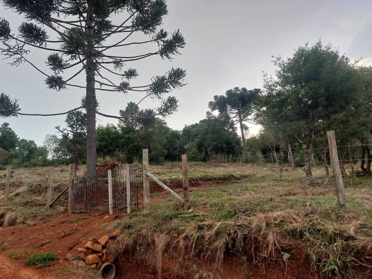 TERRENO LAGES +3500M² PRONTO PARA CONSTRUIR