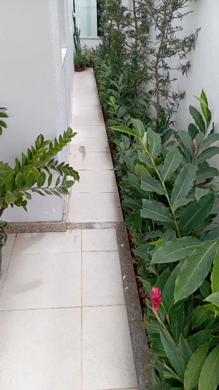 Jardinagem e limpeza de terrenos