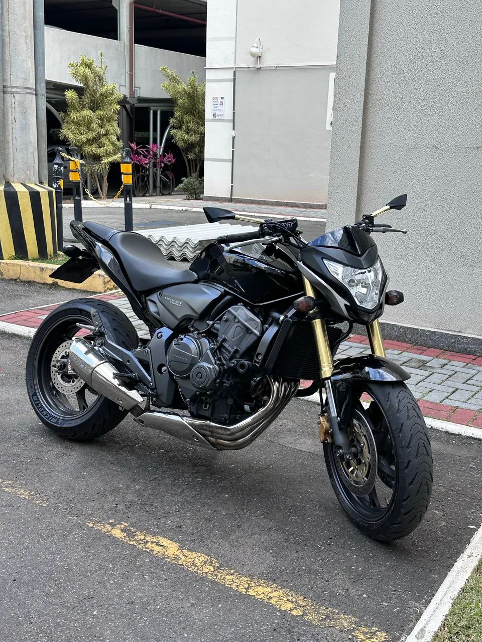 HORNET  2012