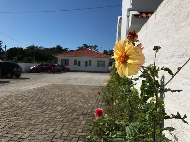 Alugo apartamento de um quarto no bairro Morro das Pedras - Sul da Ilha - Florianópolis