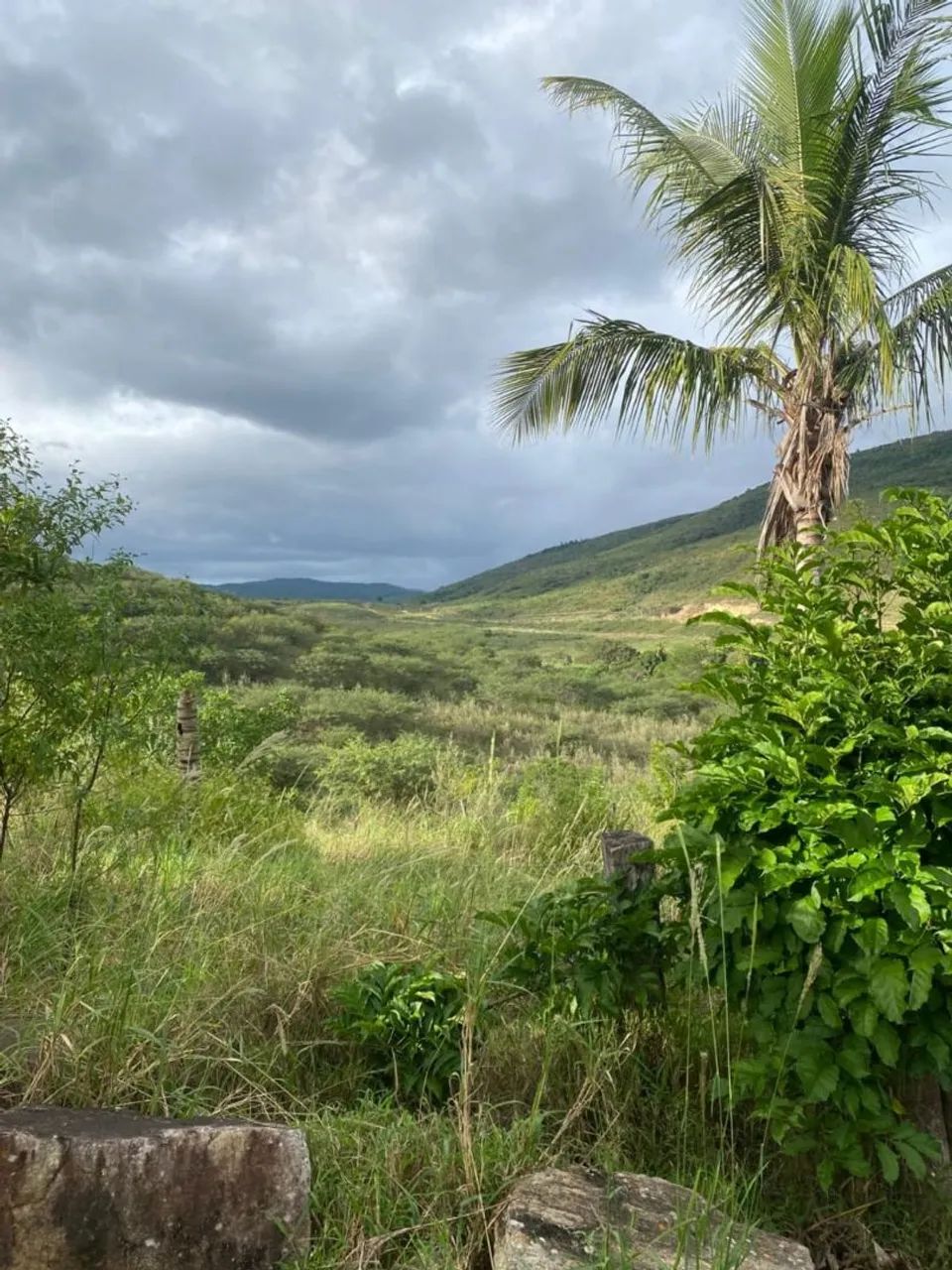 Fazenda em Jequié  - Foto 4