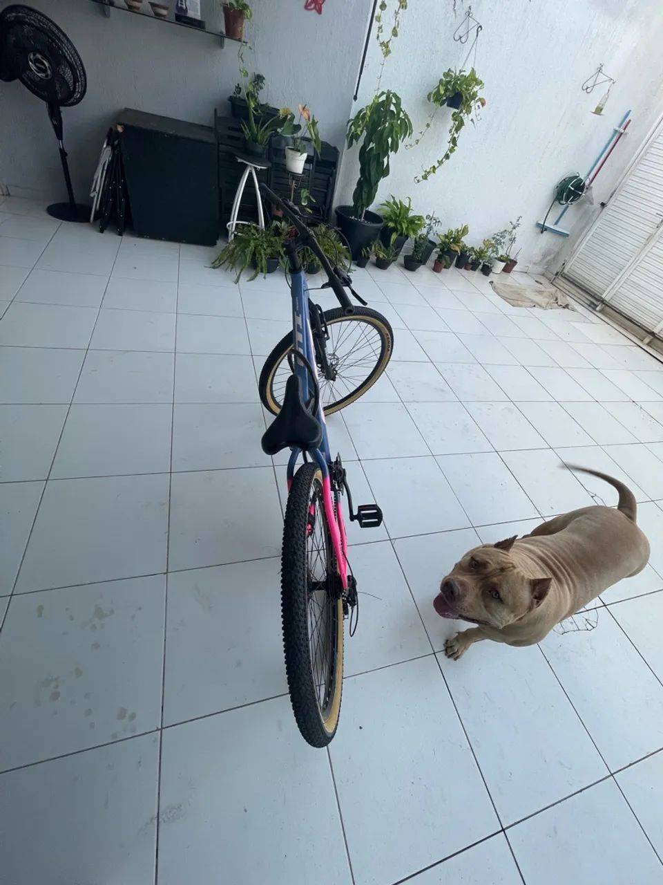 Bicicleta semi nova - Foto 3