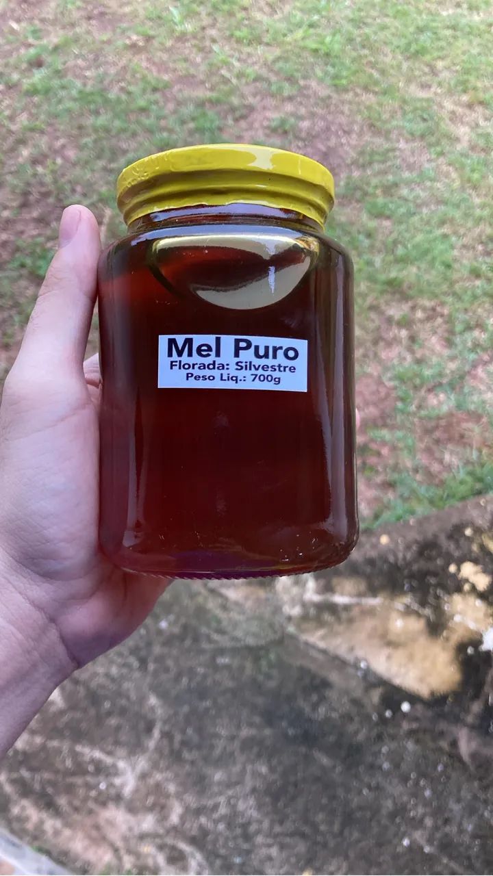MEL PURO 100% NATURAL 700g - Foto 4