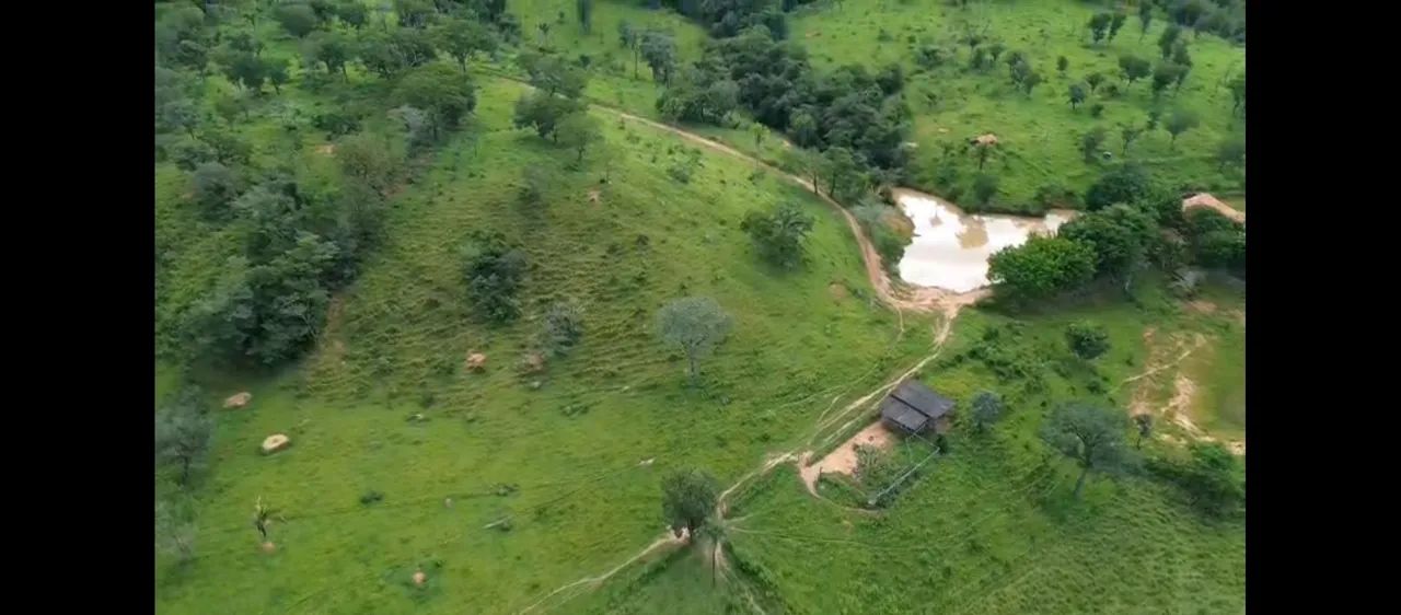 Fazenda DF GO Sobradinho Planaltina Goiás  - Foto 3