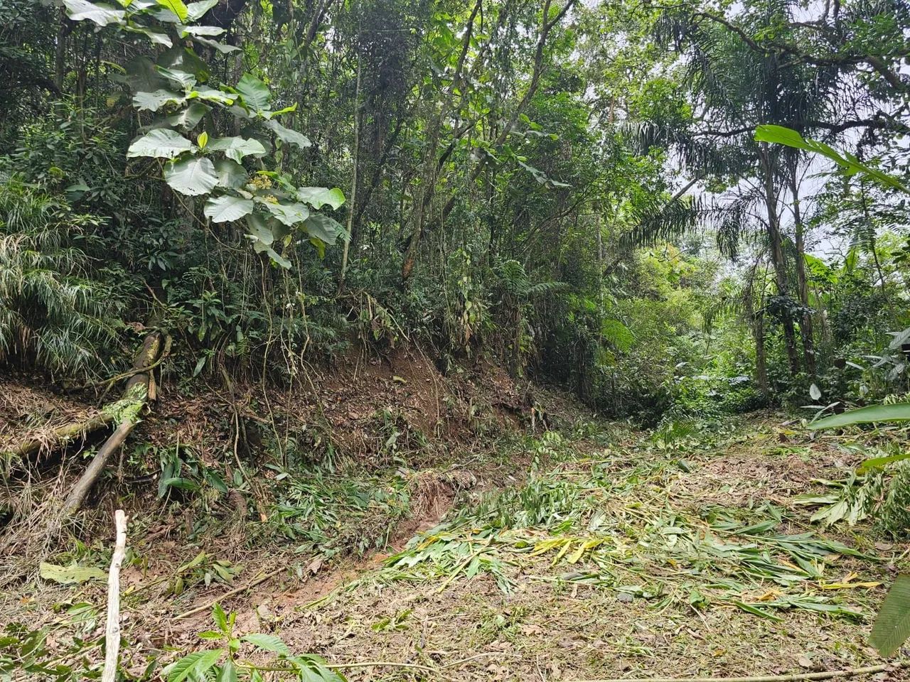 Terreno  - Foto 3