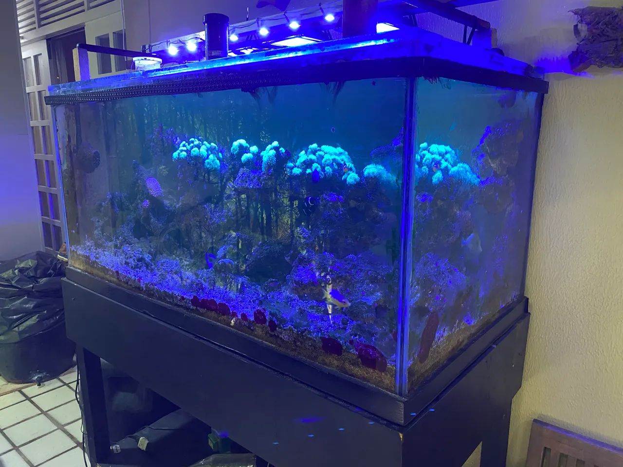 Aquário marinho 1,20 X  0,60 X 0,60, com rochas e substrato.