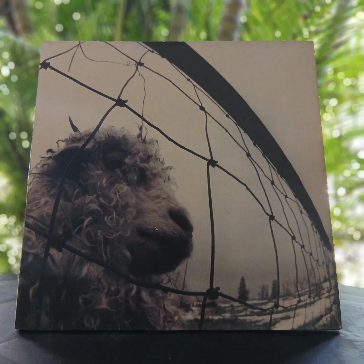 Vinil - Pearl Jam - Versus