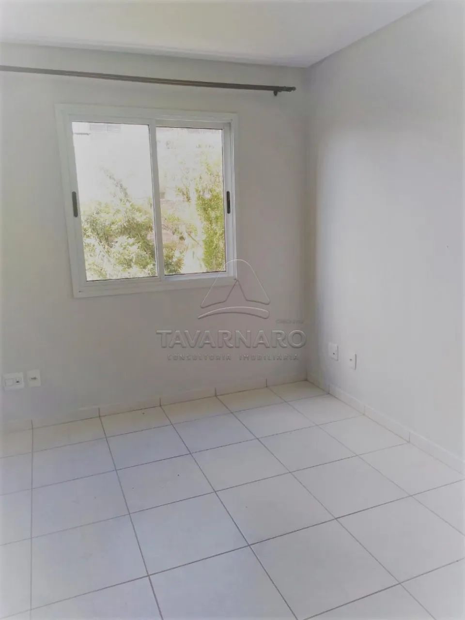Studio Mata Nativa - Foto 3