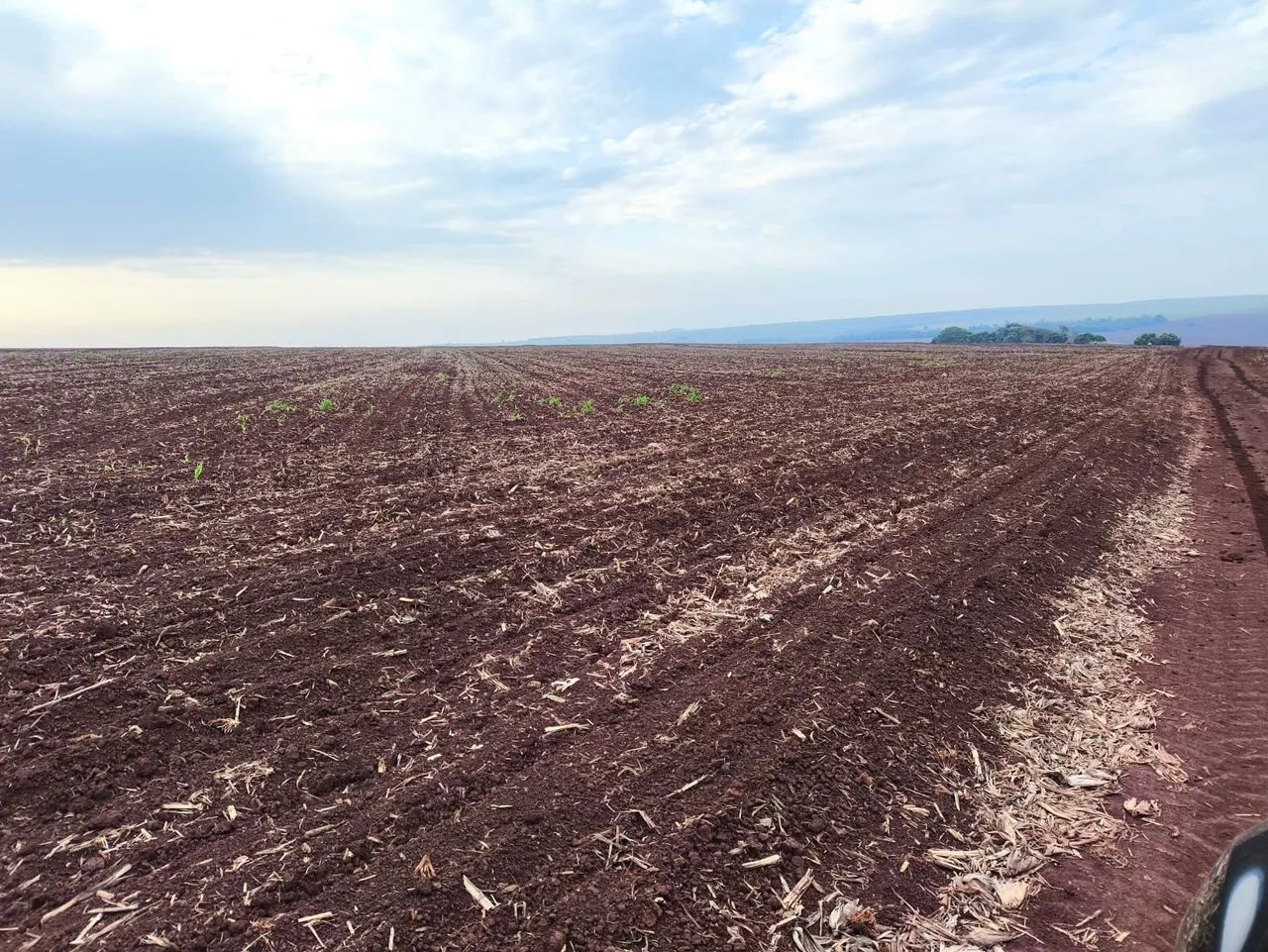 Fazenda 42 Alqueiro de planta  - Foto 2