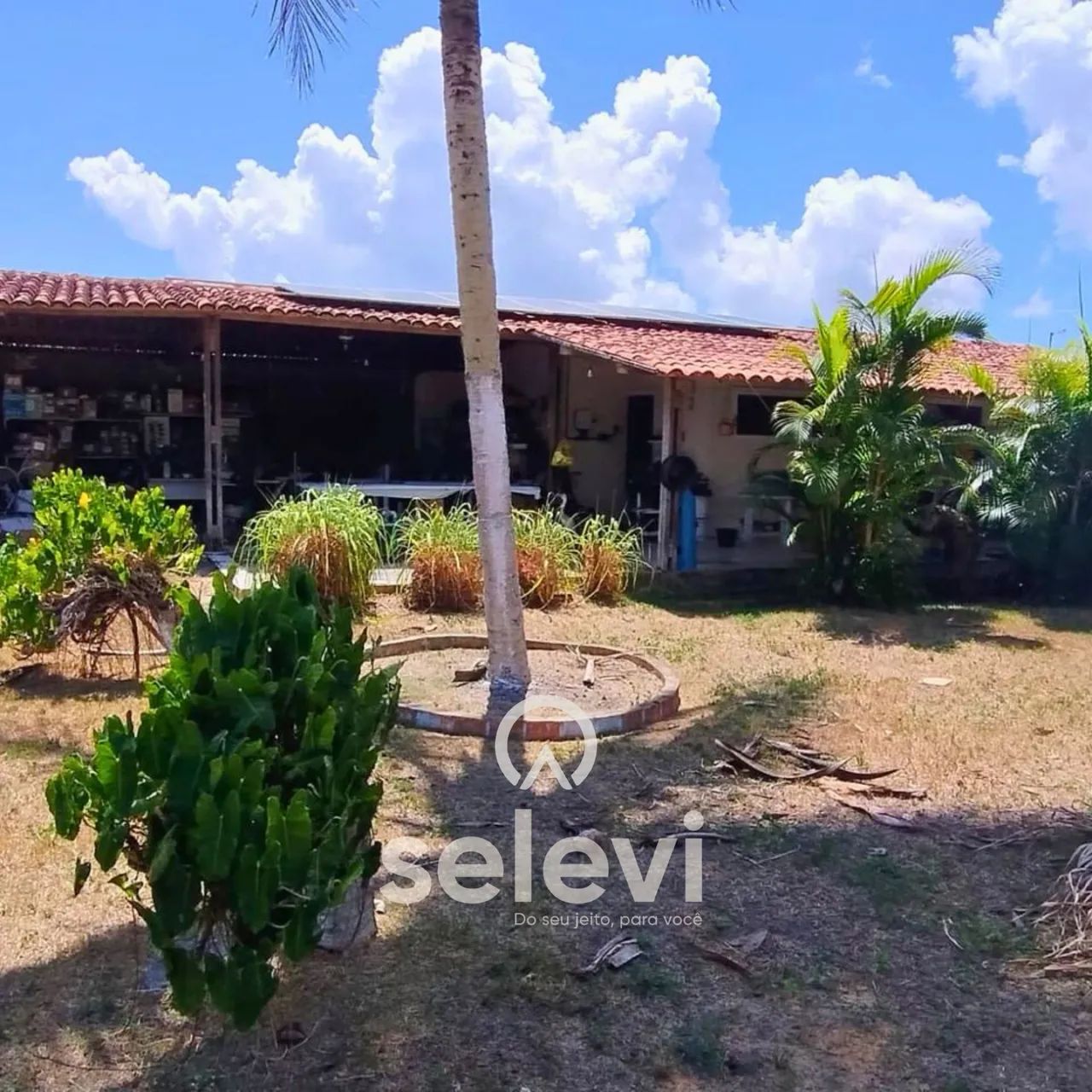 Chácara à venda em Satuba - 11.300m², Toda murada, Portal dos Gregórios II - Foto 5