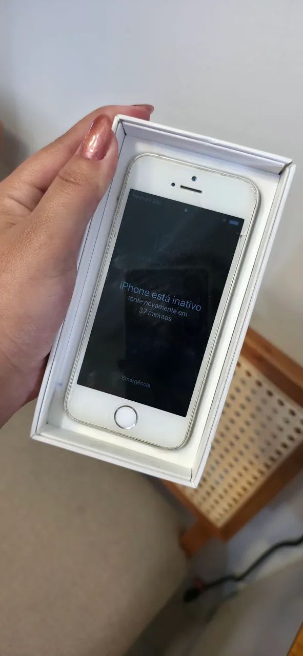 Iphone 5S com caixa 