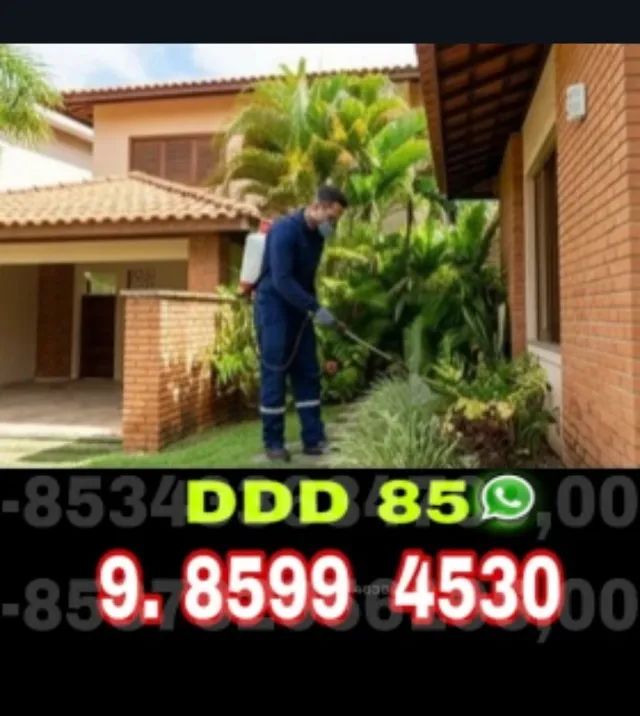 Dedetização Eficiente com Segurança e Qualidade Garantidas