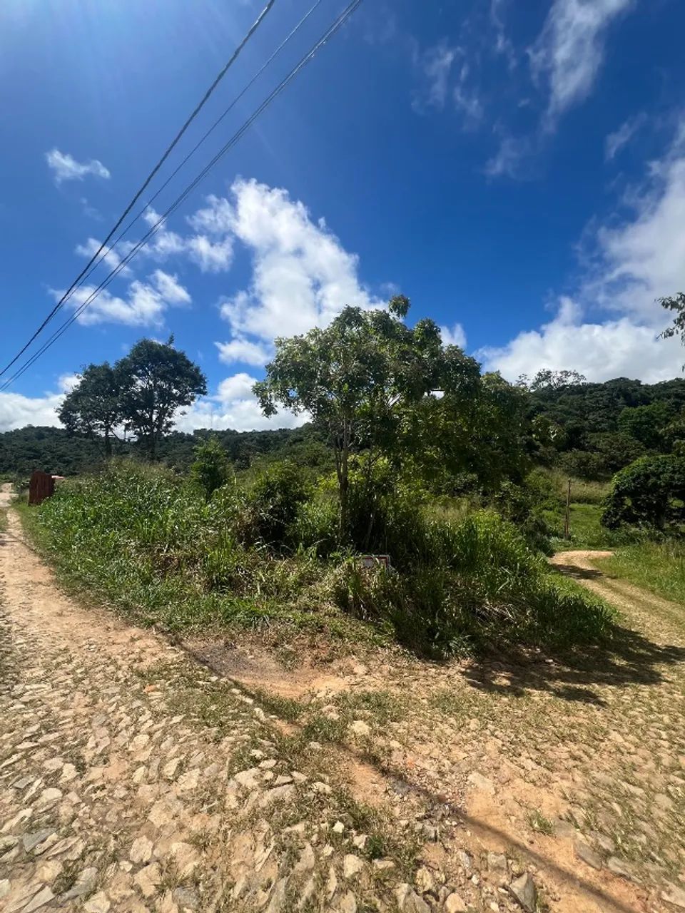 Terreno Jardim Aratuba  - Foto 4