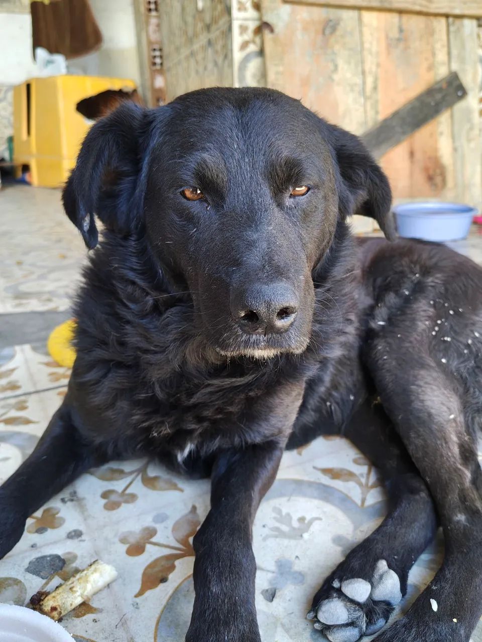 Procura lar - Foto 3