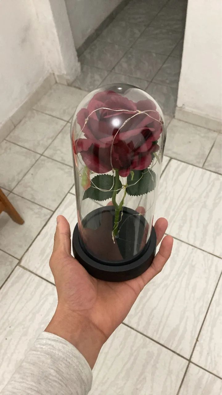 Rosa Vermelha em Cúpula com Luzes - Foto 2