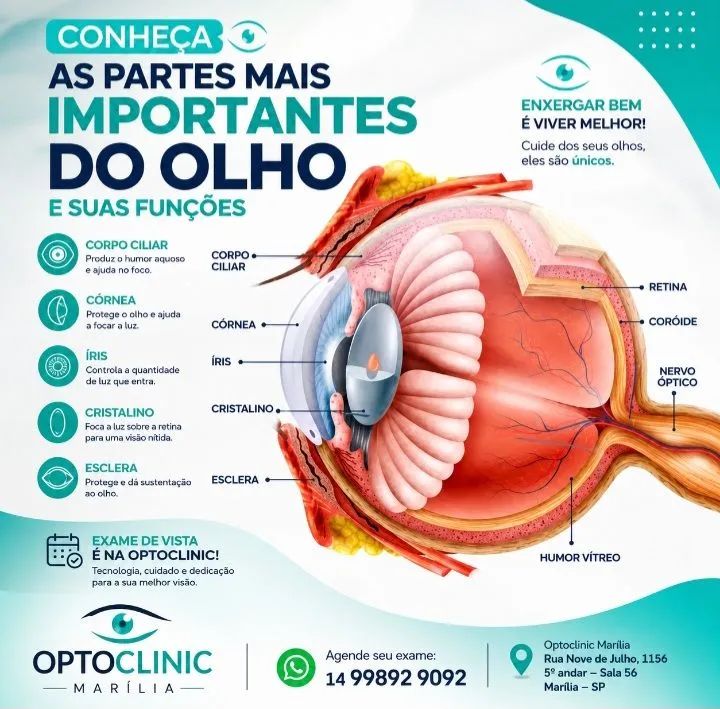 Exame de vista  - Foto 2