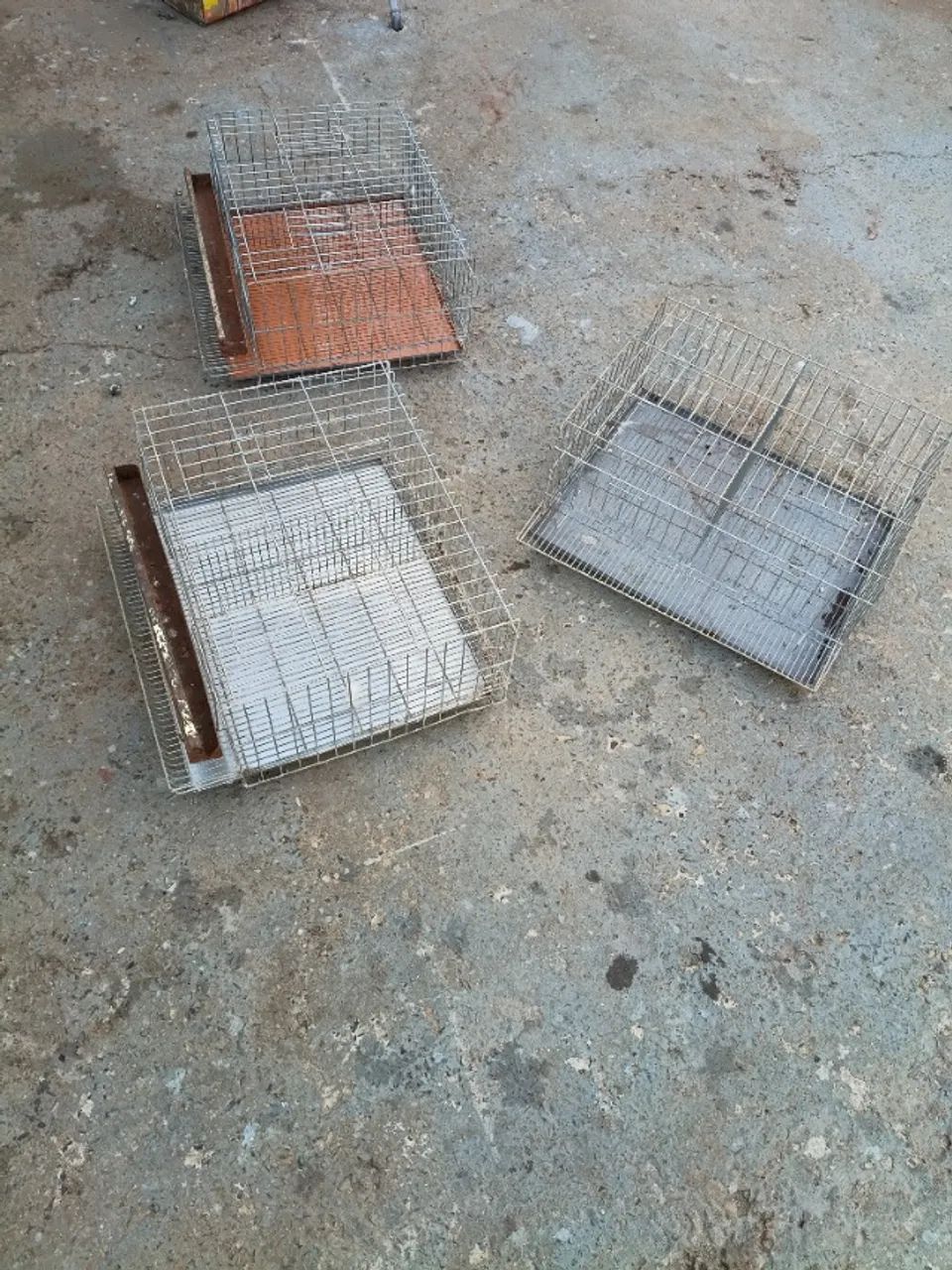GAIOLA PRA CODORNAS - Foto 3