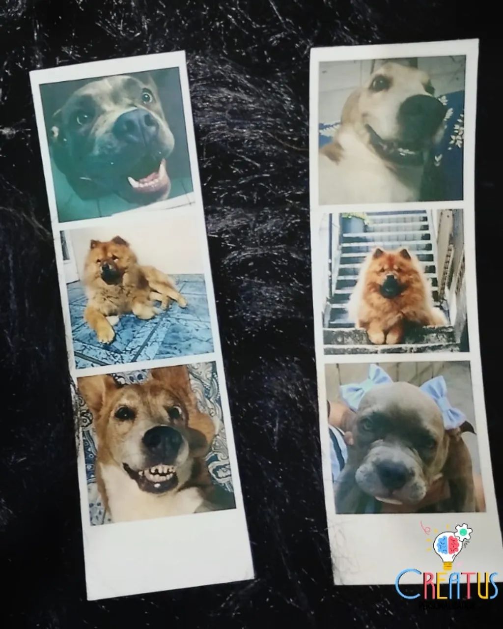 Fotos Polaroid Personalizadas Imantadas - Foto 2