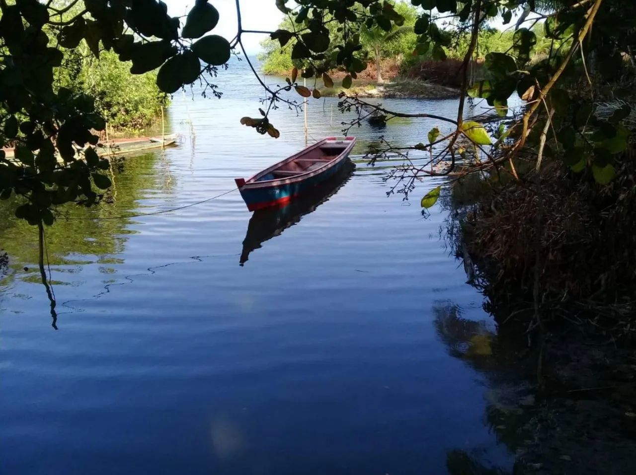 Terreno em Camamu - Ilha Pequena - Foto 3