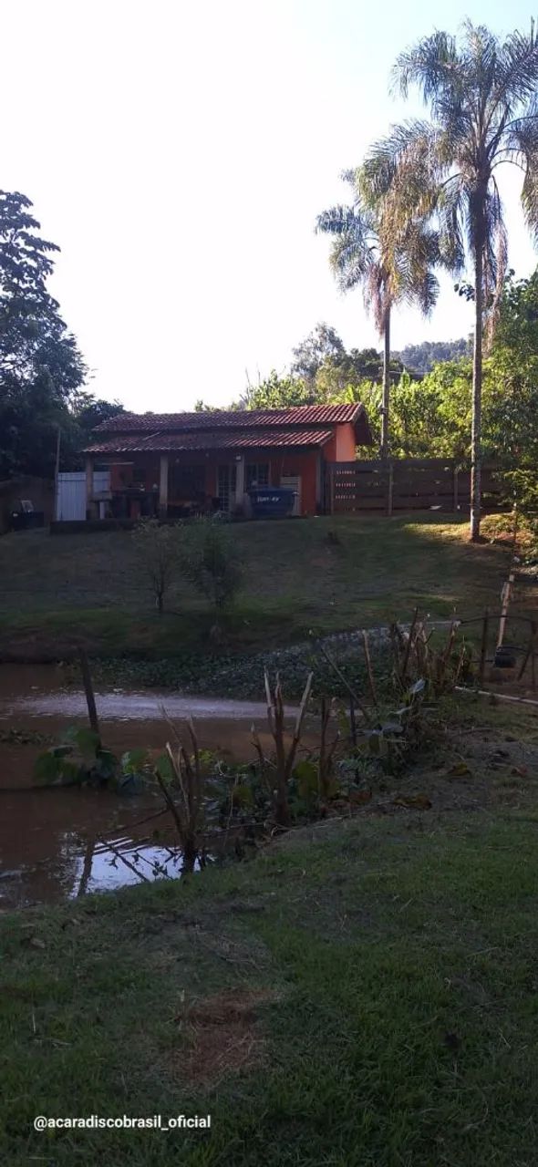 Chácara em Jacutinga MG rio no fundo - Foto 5