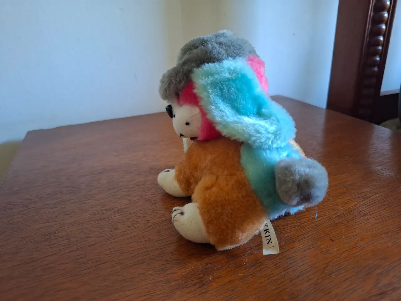 Cachorro de chapéu  - Foto 5