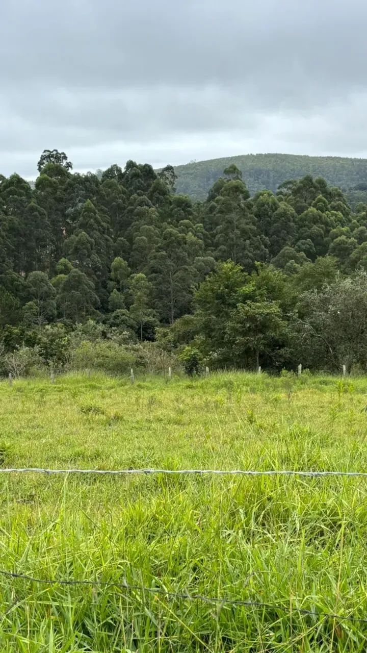 Tranquilidade garantida: segurança e qualidade de vida. - Foto 4