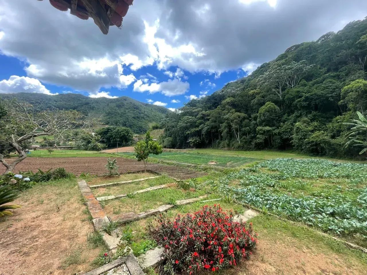 Estrada Santa Rosa Motas Teresópolis - Foto 3