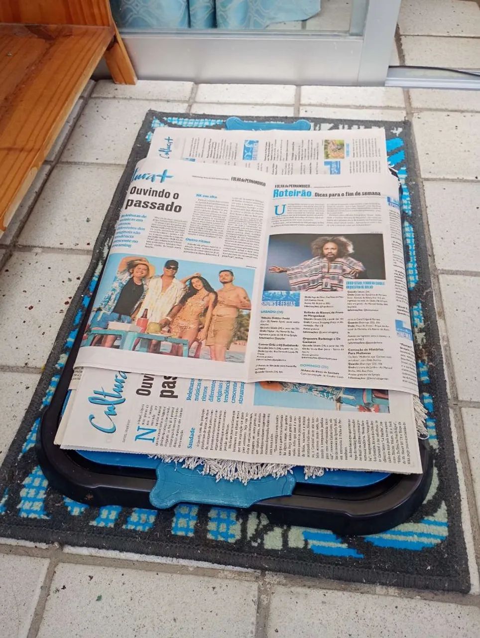 JORNAL HIGIÊNICO PARA PET - Foto 3