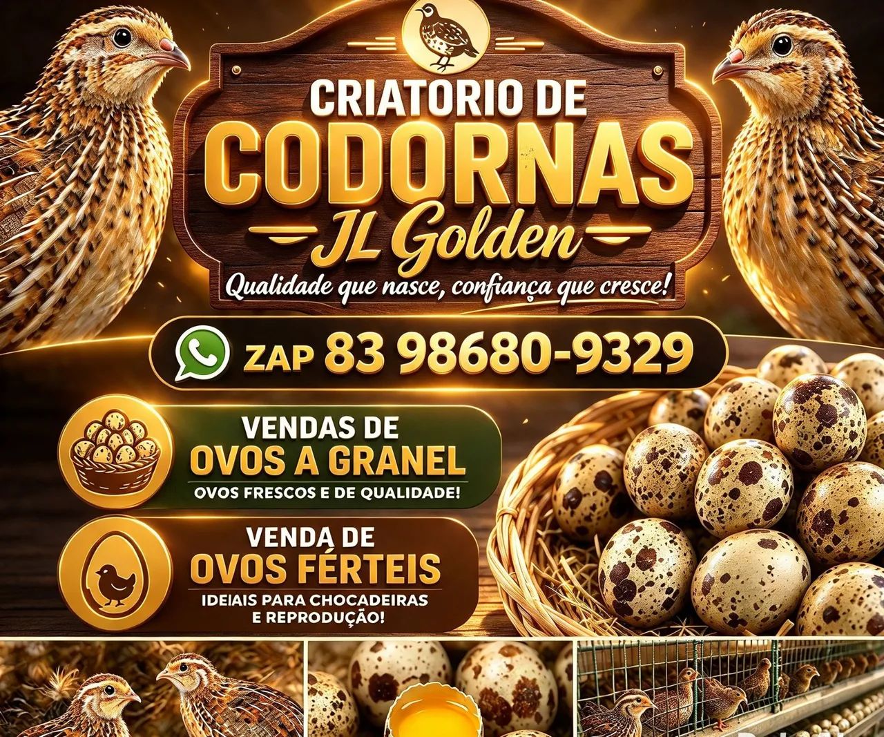 CODORNAS  - Foto 2