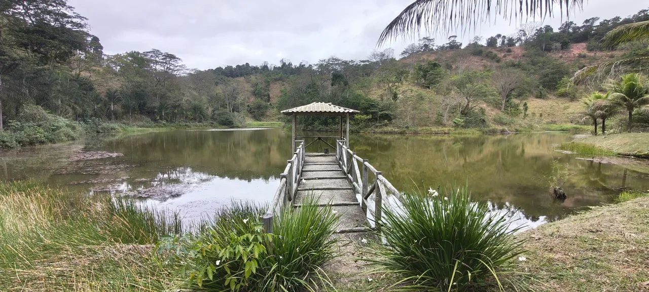 FAZENDA  - Foto 2