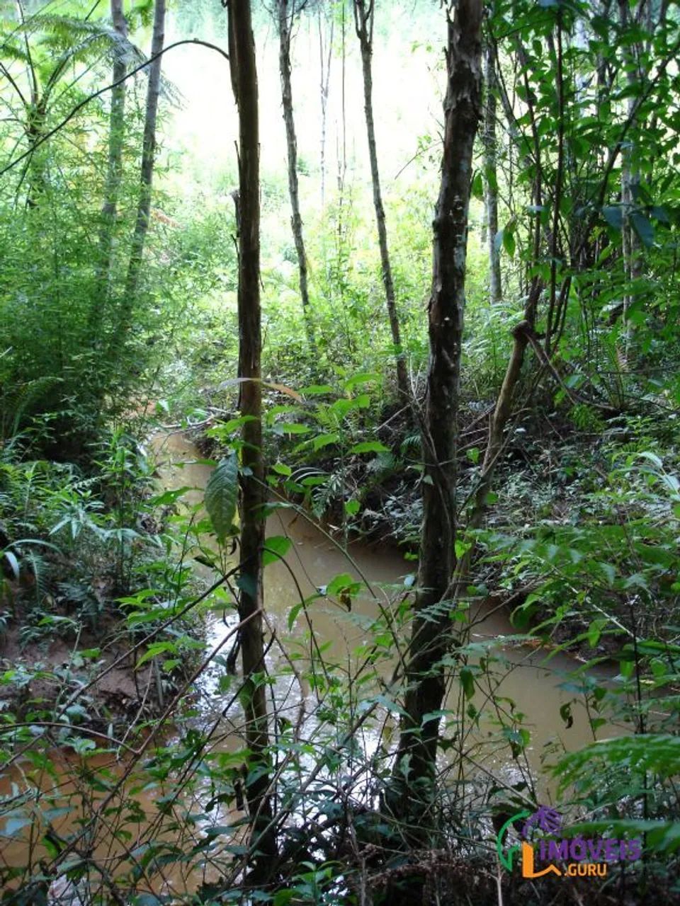 AREA - JARDIM ITAPECERICA - SP - Foto 3