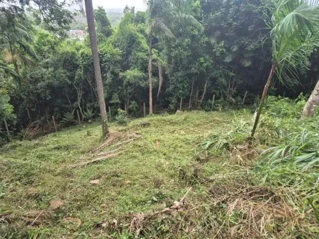 Terreno 360 m² / Rio Tavares - Florianópolis. SC - Foto 5