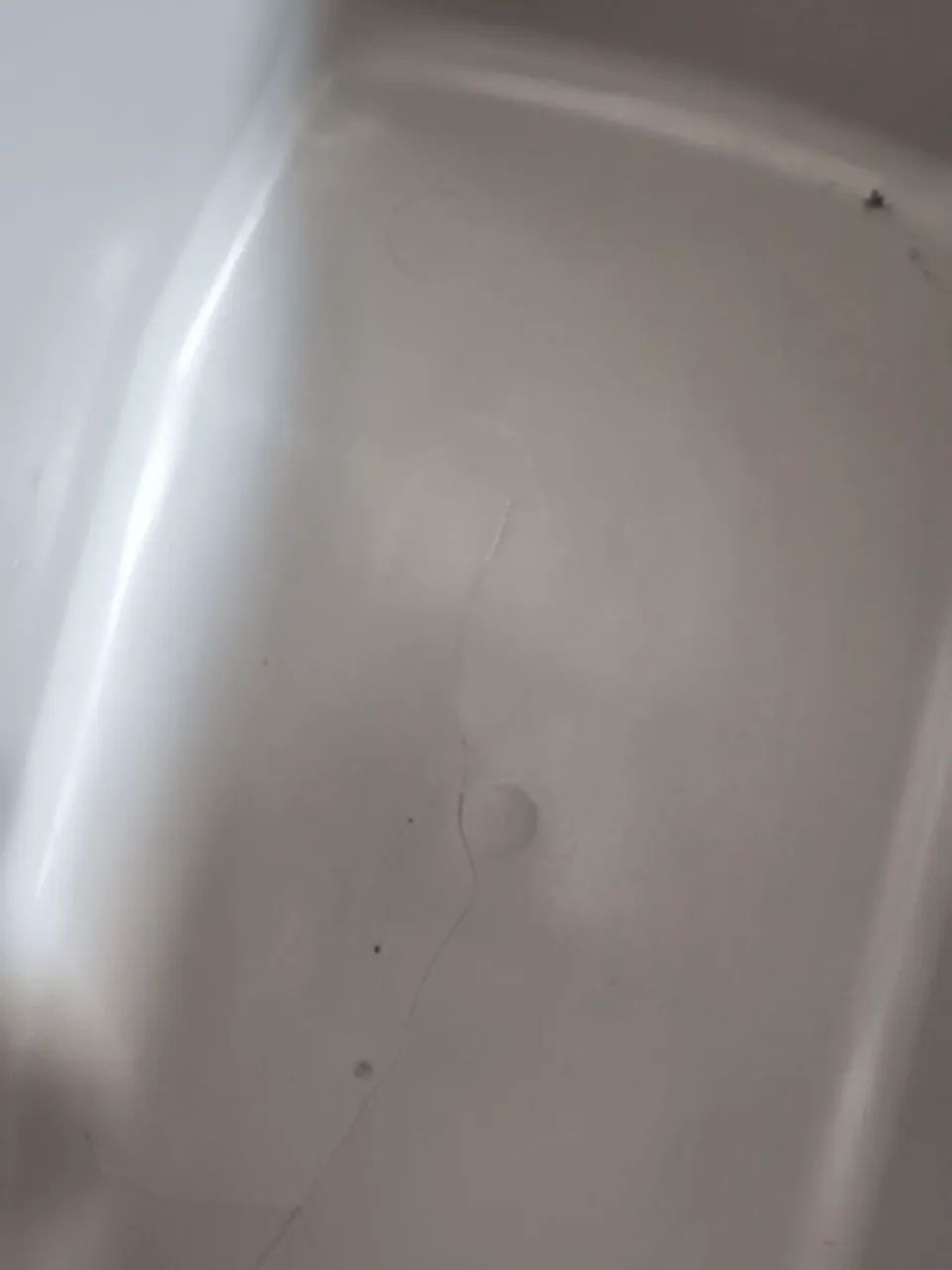 Caixa térmica Termolar 32L - Foto 3