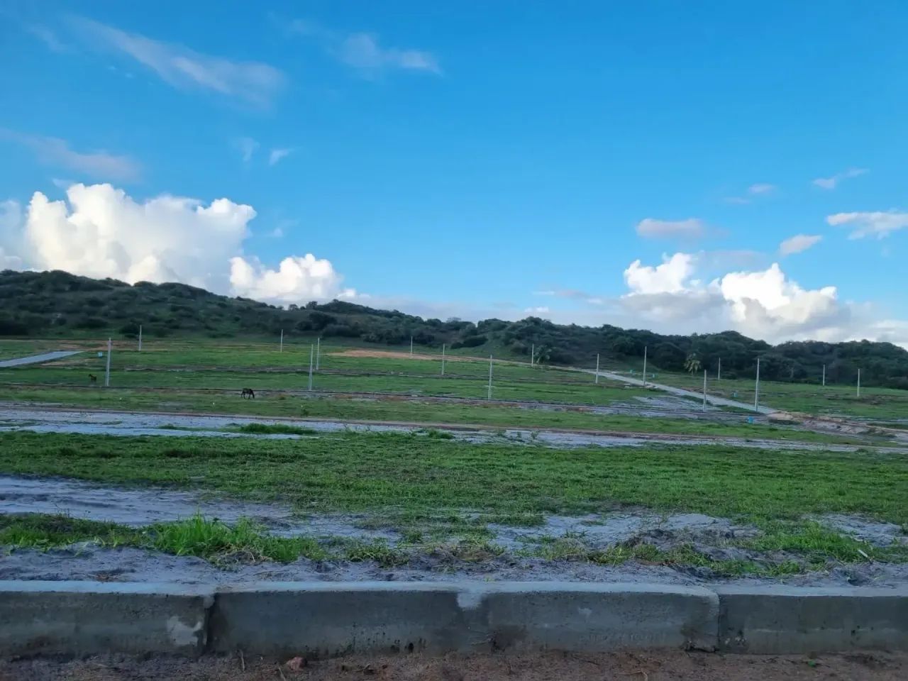 Lotes Repasse Baia Formosa Parque 200m2 - Foto 5