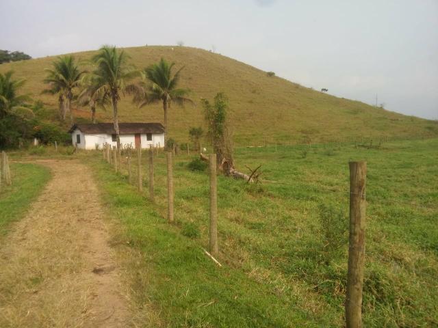 Linda fazenda em Cachoeiras de Macacu 20 alqueires oportunidade!!!! - Foto 9