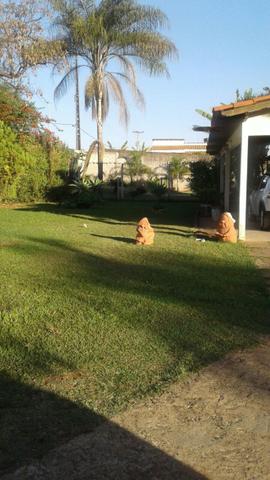 Apartamento de 1 quartos com garagem no térreo, área verde!! - Guarapark - Guará II