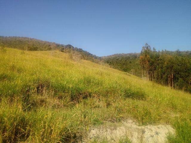 Fazenda 97 Alqs Na Região do Vale do Paraíba SP Negocio de oportunidade - Leia o anúncio - Foto 12