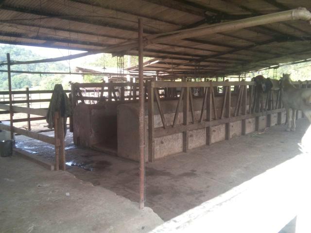 Linda fazenda em Cachoeiras de Macacu 20 alqueires oportunidade!!!! - Foto 11