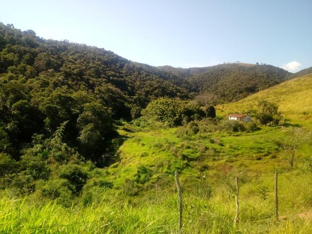 Fazenda 97 Alqs Na Região do Vale do Paraíba SP Negocio de oportunidade - Leia o anúncio - Foto 13