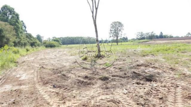Terreno à venda em Costa do ipiranga, Gravataí cod:1013 - Foto 20