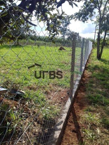 Terreno à venda, 1239 m² por r$ 115.000 - zona rural - hidrolândia/go - Foto 8