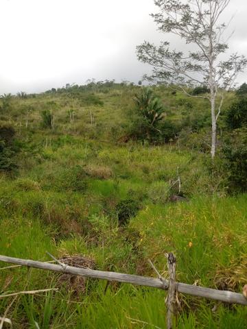 Vendo Fazenda Cachoeira do Meirim