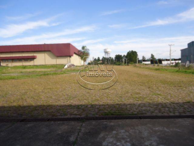 Galpão/depósito/armazém para alugar em Morada gaúcha, Gravataí cod:1135 - Foto 12
